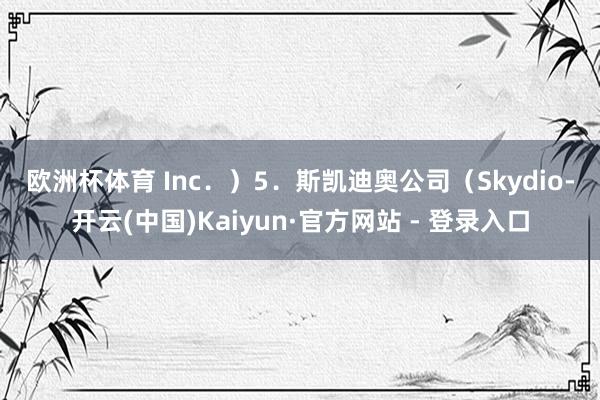 欧洲杯体育 Inc．）　　5．斯凯迪奥公司（Skydio-开云(中国)Kaiyun·官方网站 - 登录入口
