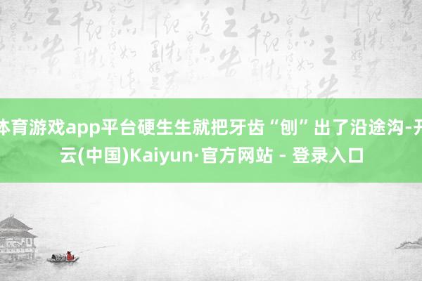 体育游戏app平台硬生生就把牙齿“刨”出了沿途沟-开云(中国)Kaiyun·官方网站 - 登录入口