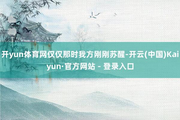 开yun体育网仅仅那时我方刚刚苏醒-开云(中国)Kaiyun·官方网站 - 登录入口